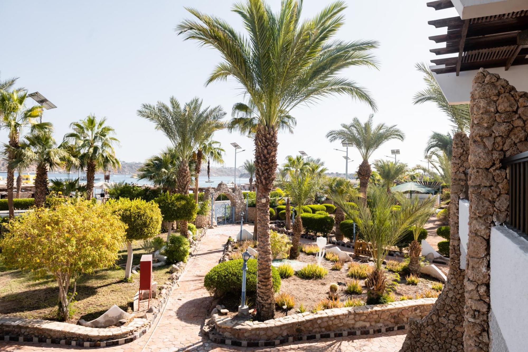 Turquoise Beach Hotel Šarm aš-Šajch Exteriér fotografie