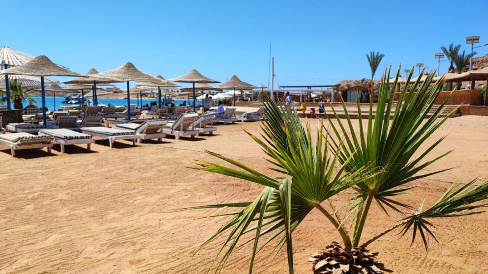 Turquoise Beach Hotel Šarm aš-Šajch Exteriér fotografie